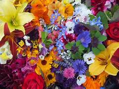 edible flowers