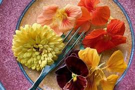 edible flowers2